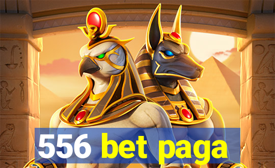 556 bet paga